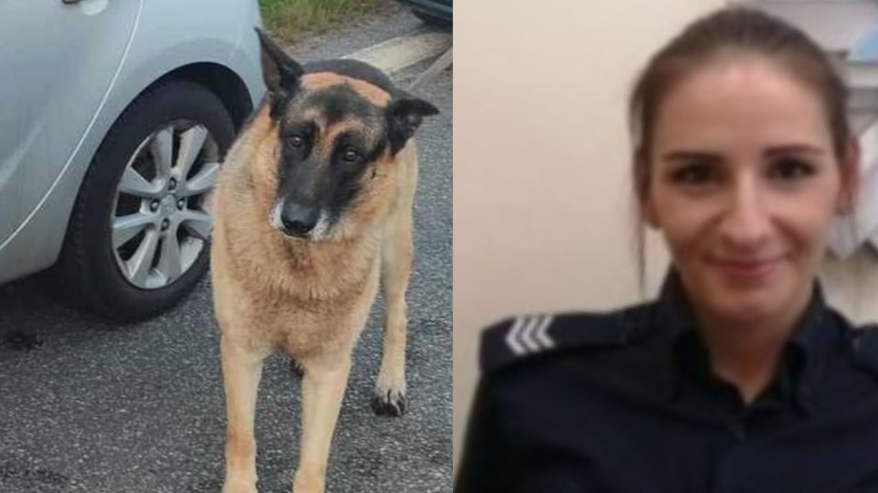 cane e polizia