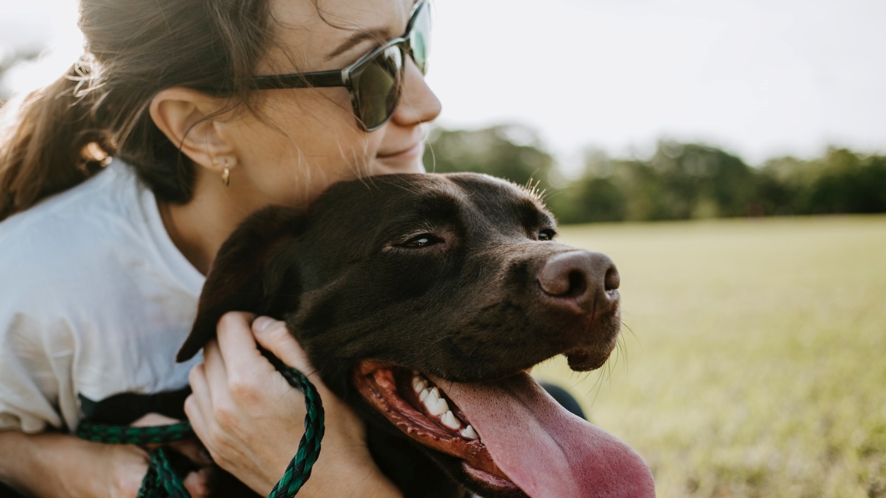 inserire i cani nello stato di famiglia