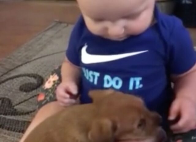 È il primo incontro e il cucciolo riesce già a conquistare il bimbo di 8 mesi che non ha mai visto un cane