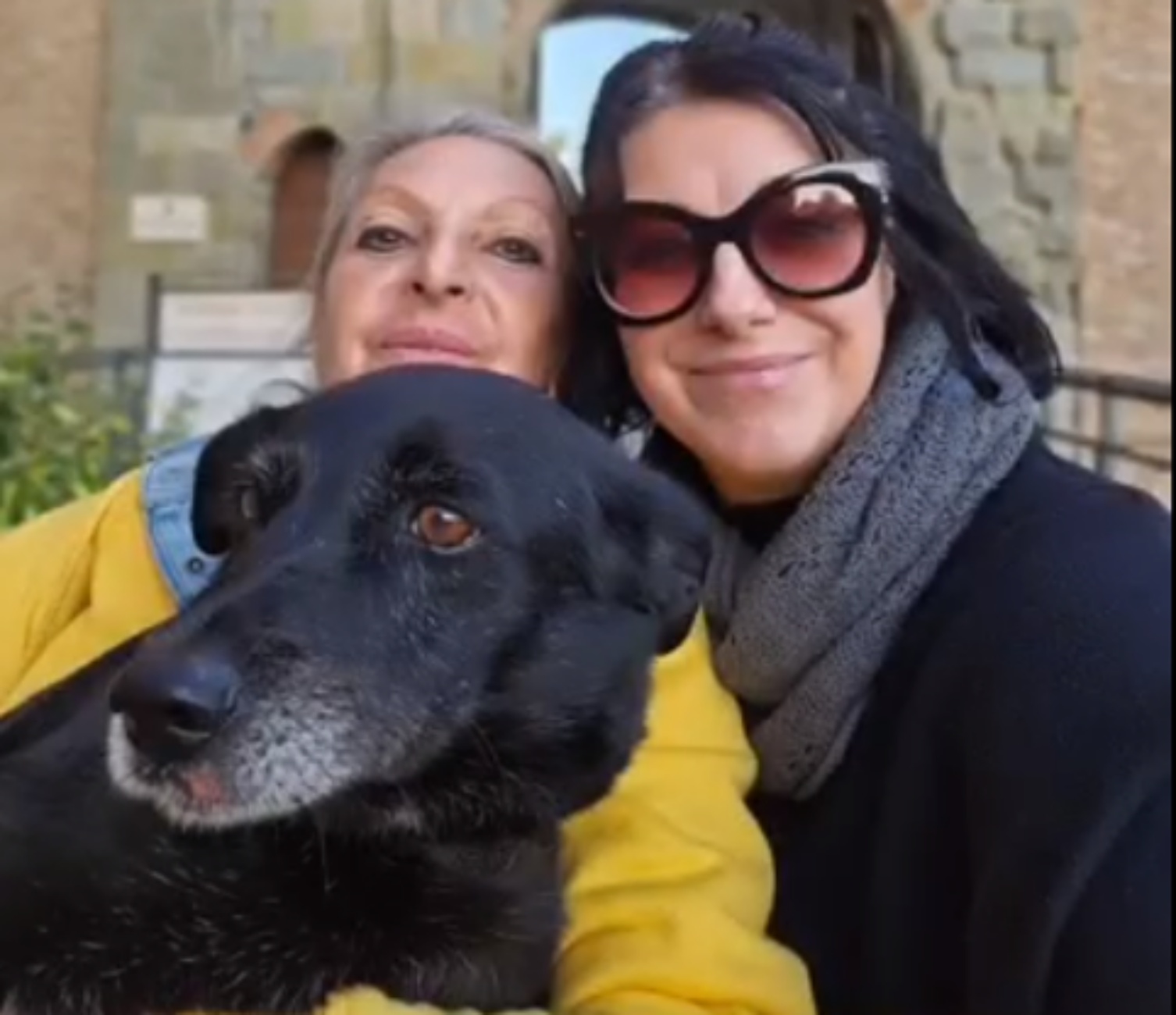 cagnolina e volontarie