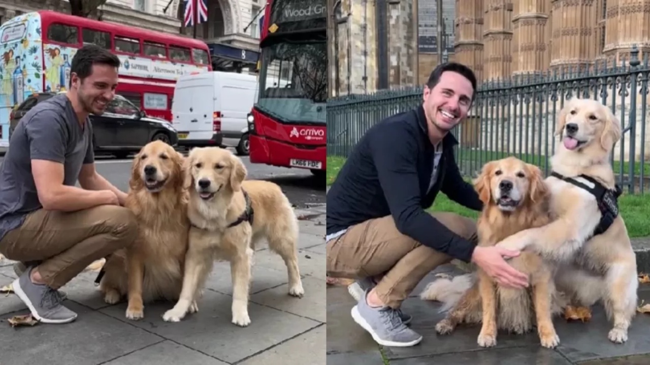 uomo e Golden Retriever fanno foto a Londra