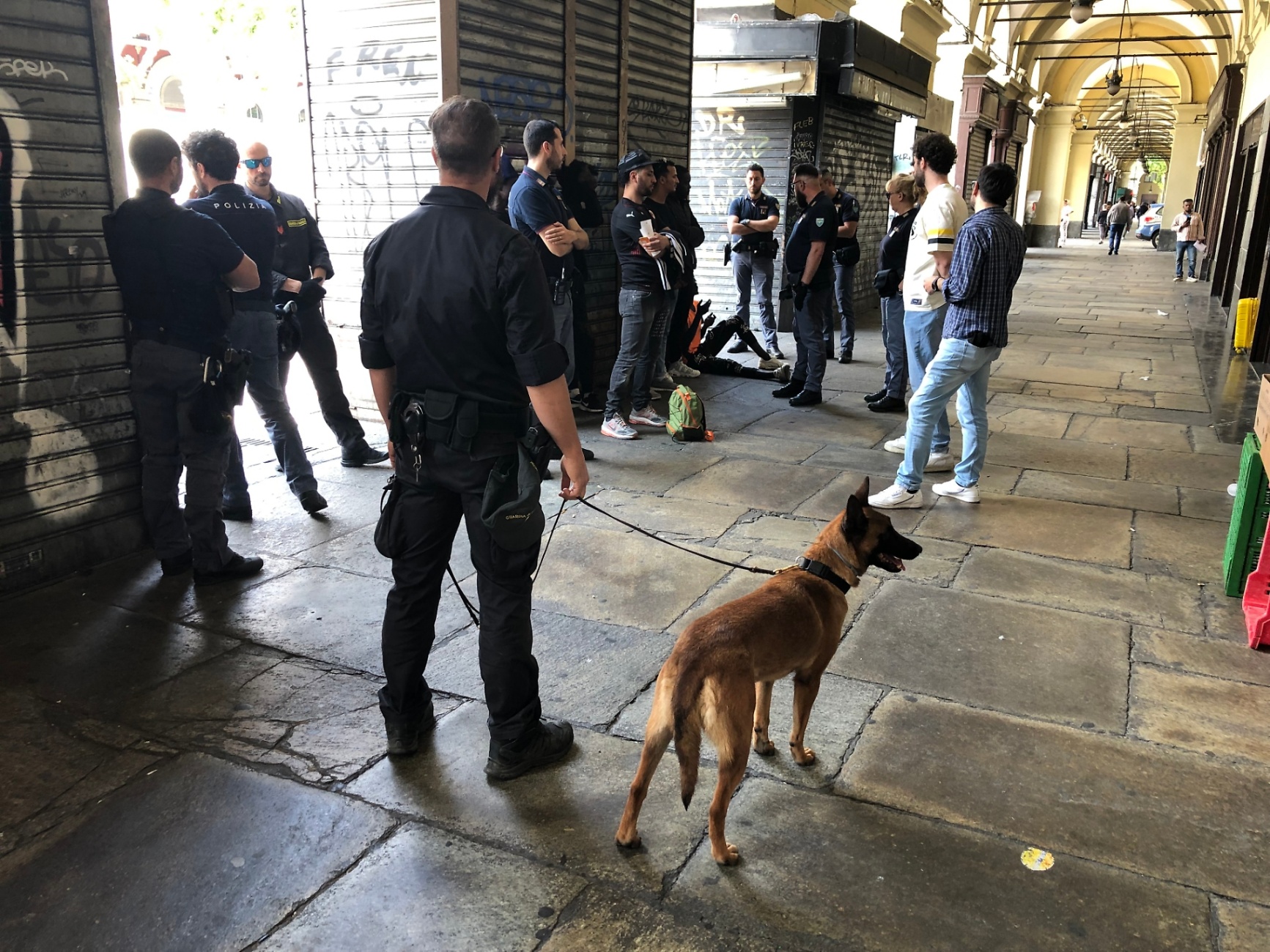 cane loca e guardia di finanza