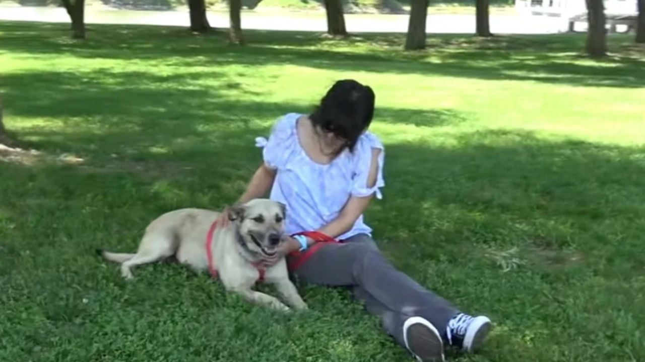 cagnolina amorevole