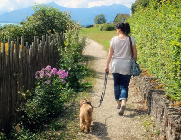 Il modo in cui educhi il tuo cane cambia il suo carattere: a dirlo è una ricerca scientifica