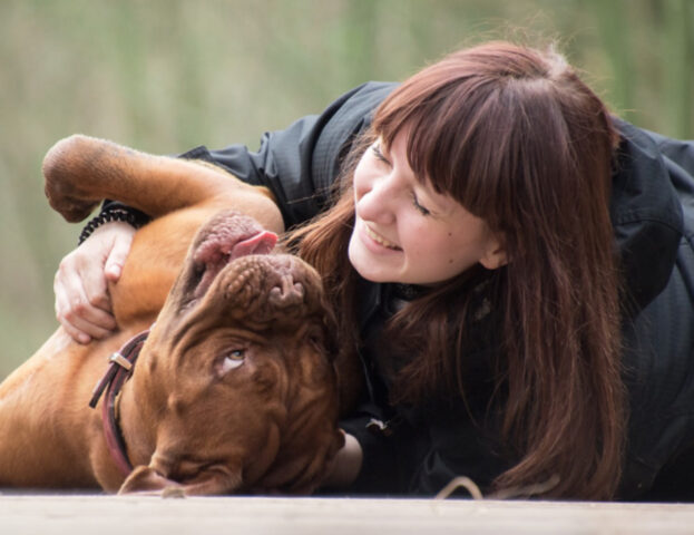 Sei arrabbiato o in ansia? Guarda foto di cani: gli scienziati dicono che migliora la salute mentale