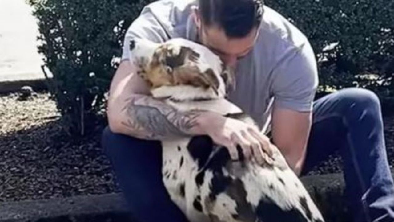 un uomo con un cane