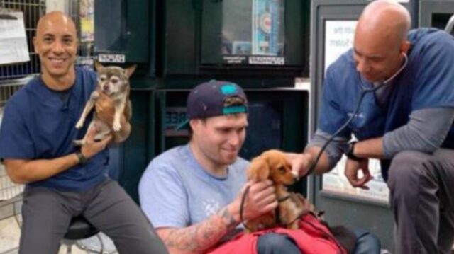Questo veterinario ha deciso di prendersi cura gratuitamente di tutti gli animali randagi