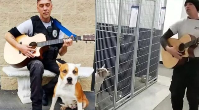 Le forze dell’ordine decidono di rallegrare i cuccioli di un rifugio mentre sono ancora in attesa di una casa