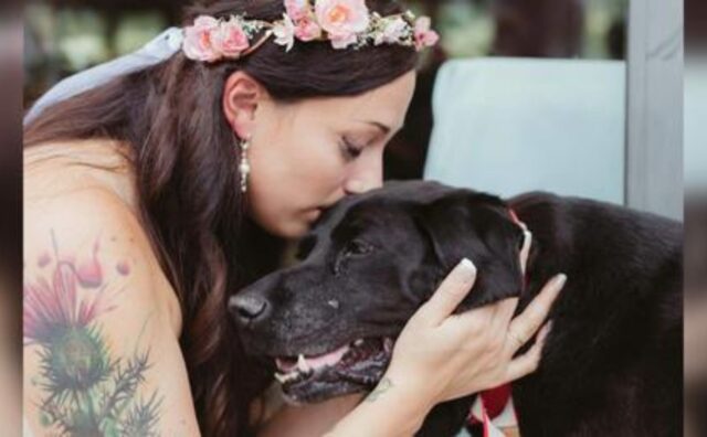 Il cane era ormai a un passo dalla fine, ma è sopravvissuto quanto serviva per accompagnare la sposa all’altare (VIDEO)