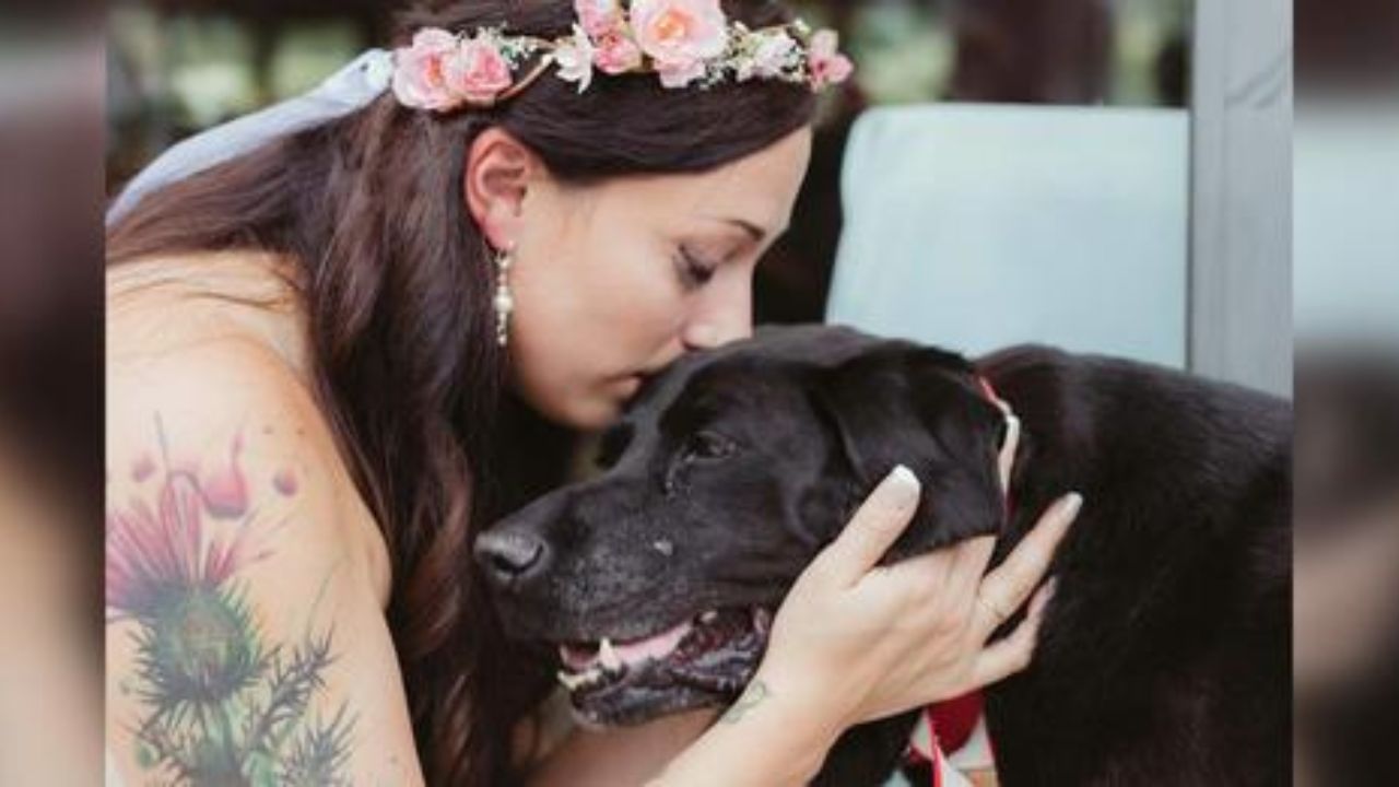 cane e mamma