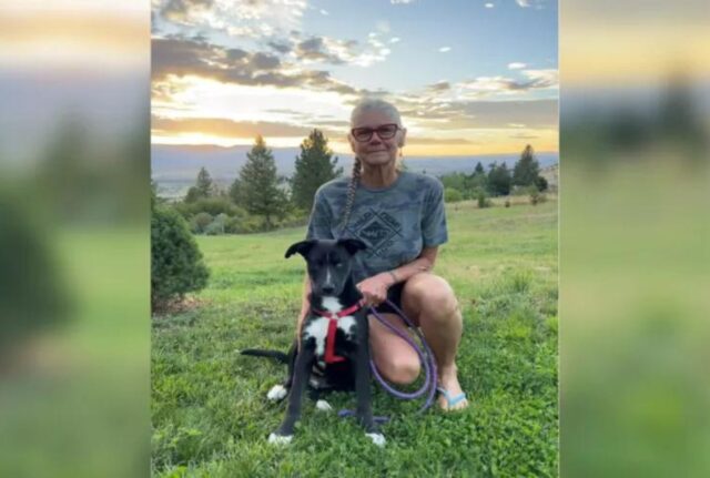 La persona che si è curata del cane scoppia in lacrime quando scopre finalmente chi lo ha adottato per sempre