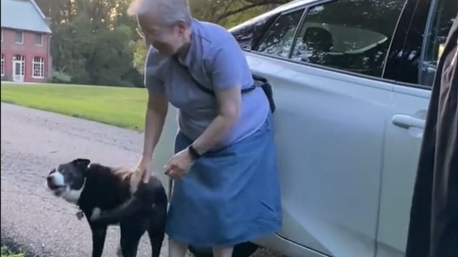 cane che si fa accarezzare da una donna sorridente