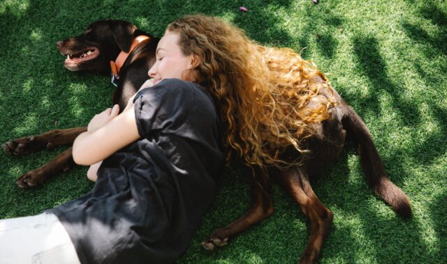 Cane da famiglia: le razze migliori e più fedeli per nuclei nutriti