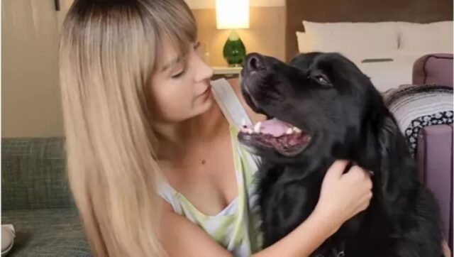 Cane guida porta la ragazza non vedente a fare shopping e non da sua madre