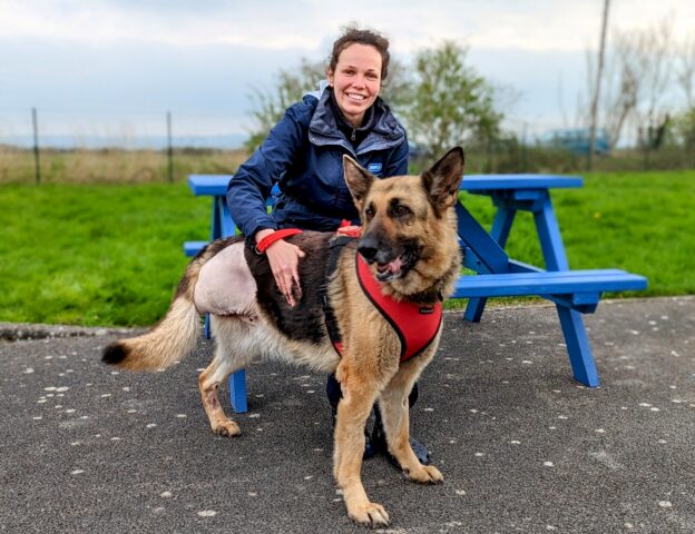 Cane senza una zampa abbandonato trova finalmente la sua casa per sempre