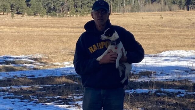 Cane veglia per mesi l’escursionista che ha perso la vita in montagna