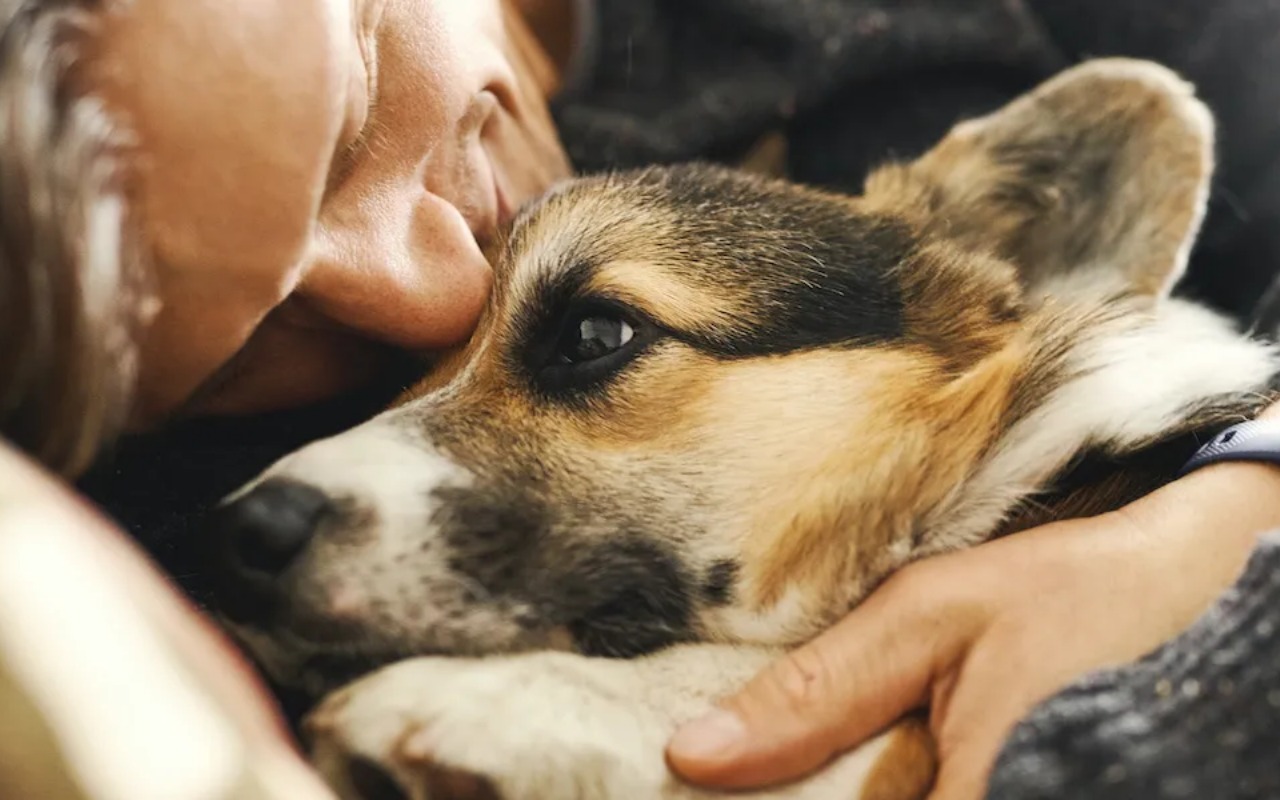 coccole con il cane