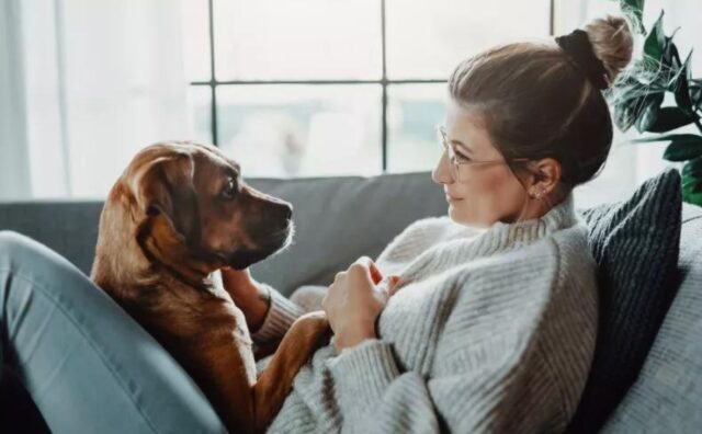 La donna dice addio al suo cane anziano prima di partire, sapendo che probabilmente non lo rivedrà (VIDEO)