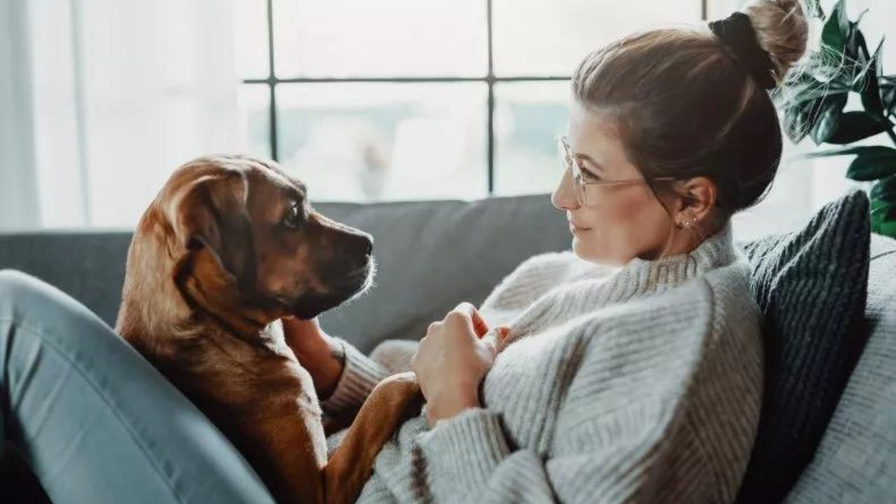 mamma e cane