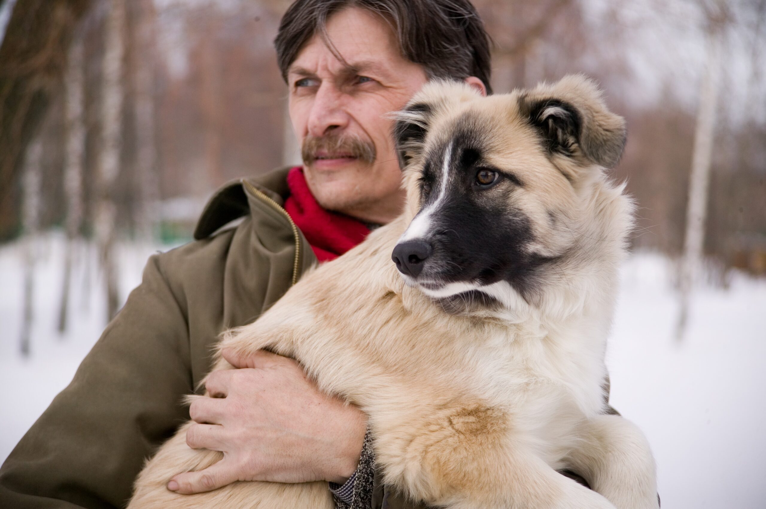 cane in braccio a uomo