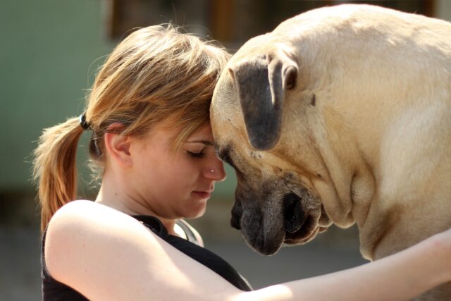 In quanto tempo il cane si affeziona a noi?