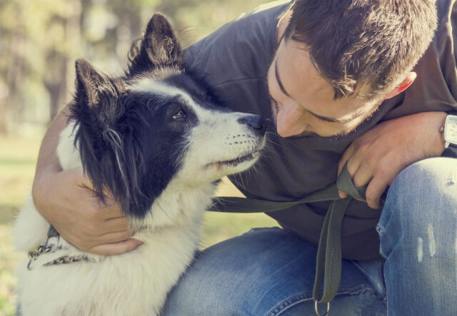 Come insegnare al cane a non allontanarsi da te