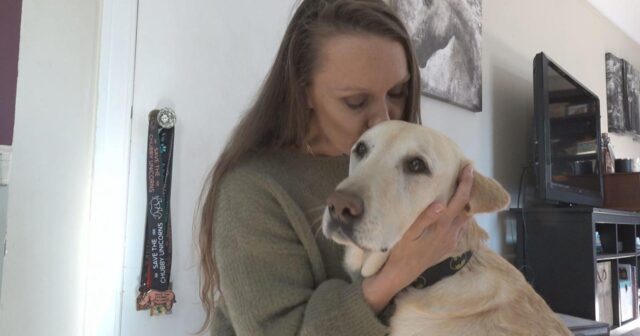 Misteriosa malattia tra i cani preoccupa una veterinaria in Michigan