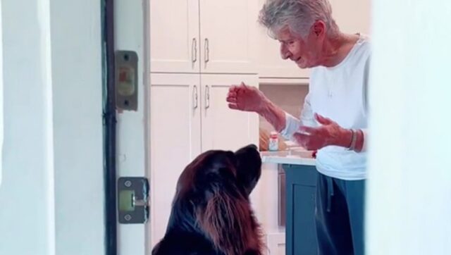 Nonna di 94 anni dedica serenata al cane che la va a trovare ogni giorno