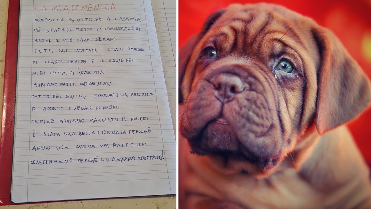 tema di un bambino per il primo compleanno del cane adottato