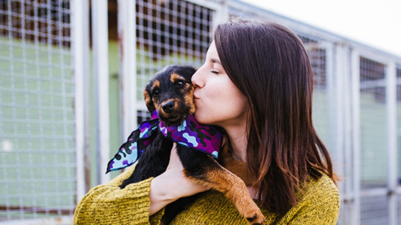 iniziativa per adottare cani Gela