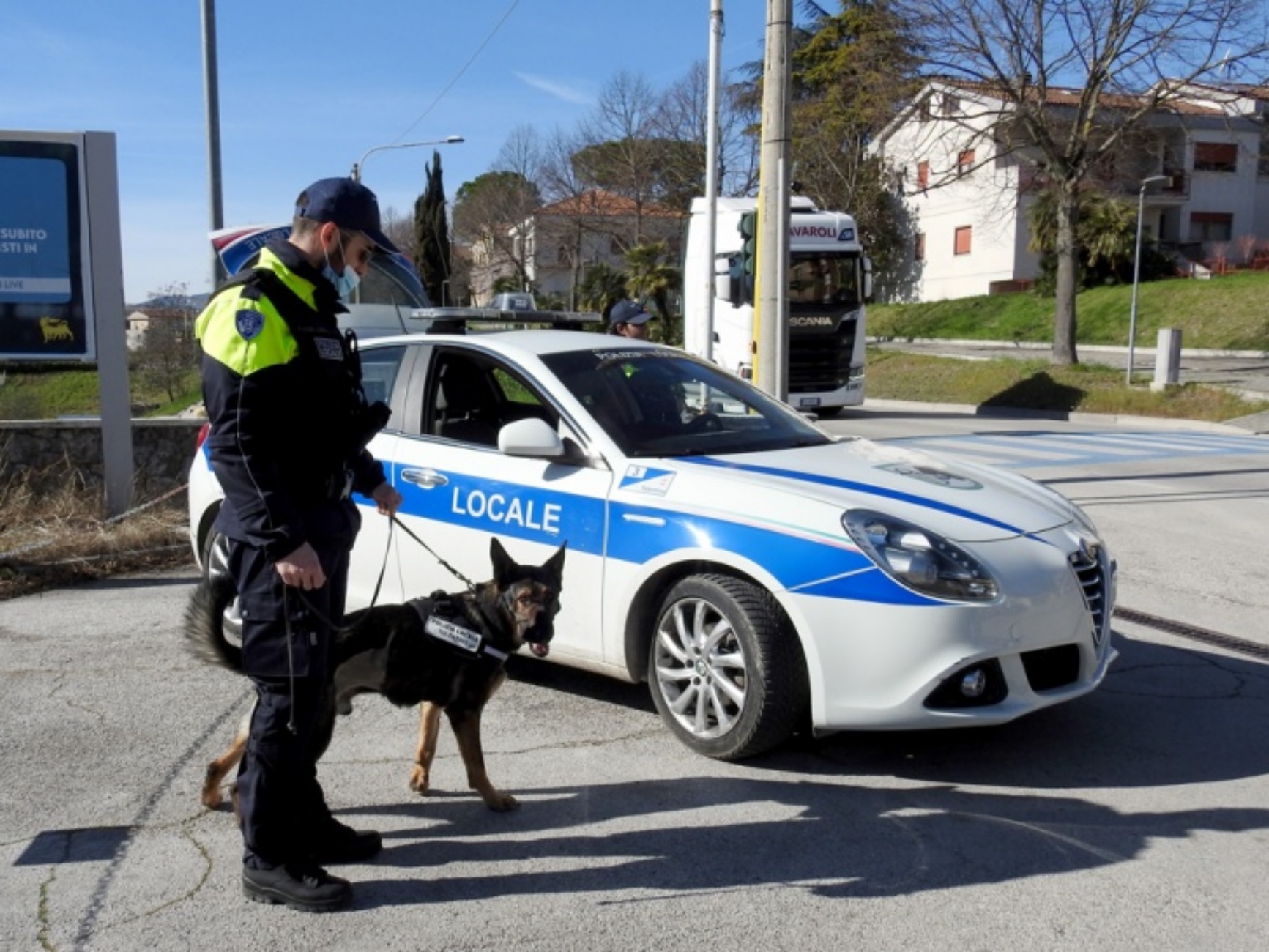 cane poliziotto di tolentino