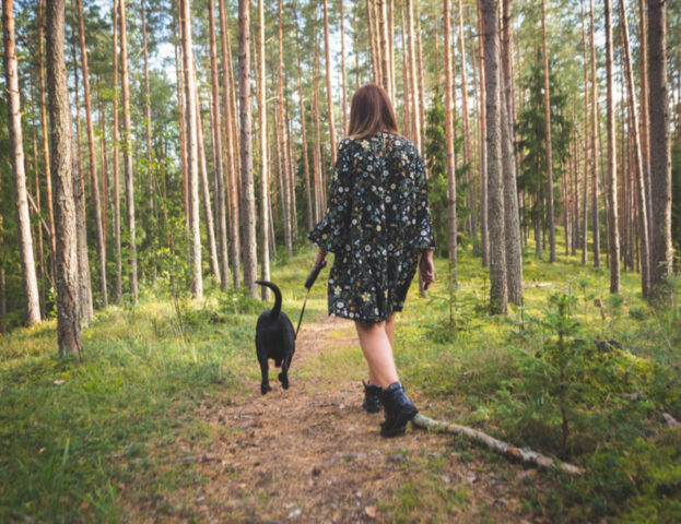 Dovresti chiedertelo: tu stai facendo fare al cane tutte le passeggiate di cui ha bisogno?