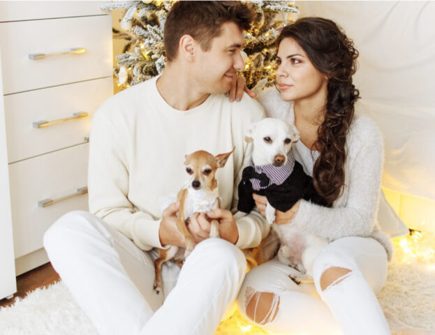 È il momento! Questi sono tutti film natalizi “canini” che potete guardare durante le feste