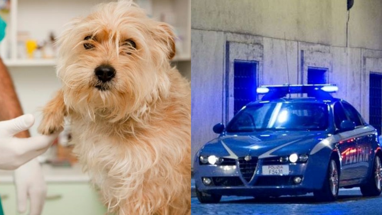 cane sta male polizia lo salva