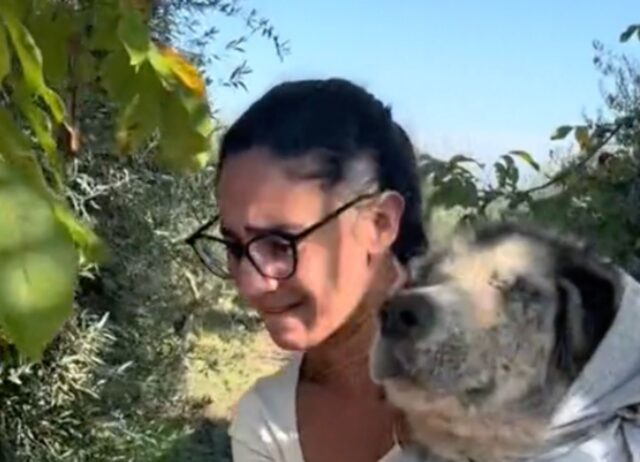 Lo hanno abbandonato in montagna gravemente ammalato, questo cane è vivo grazie alle volontarie