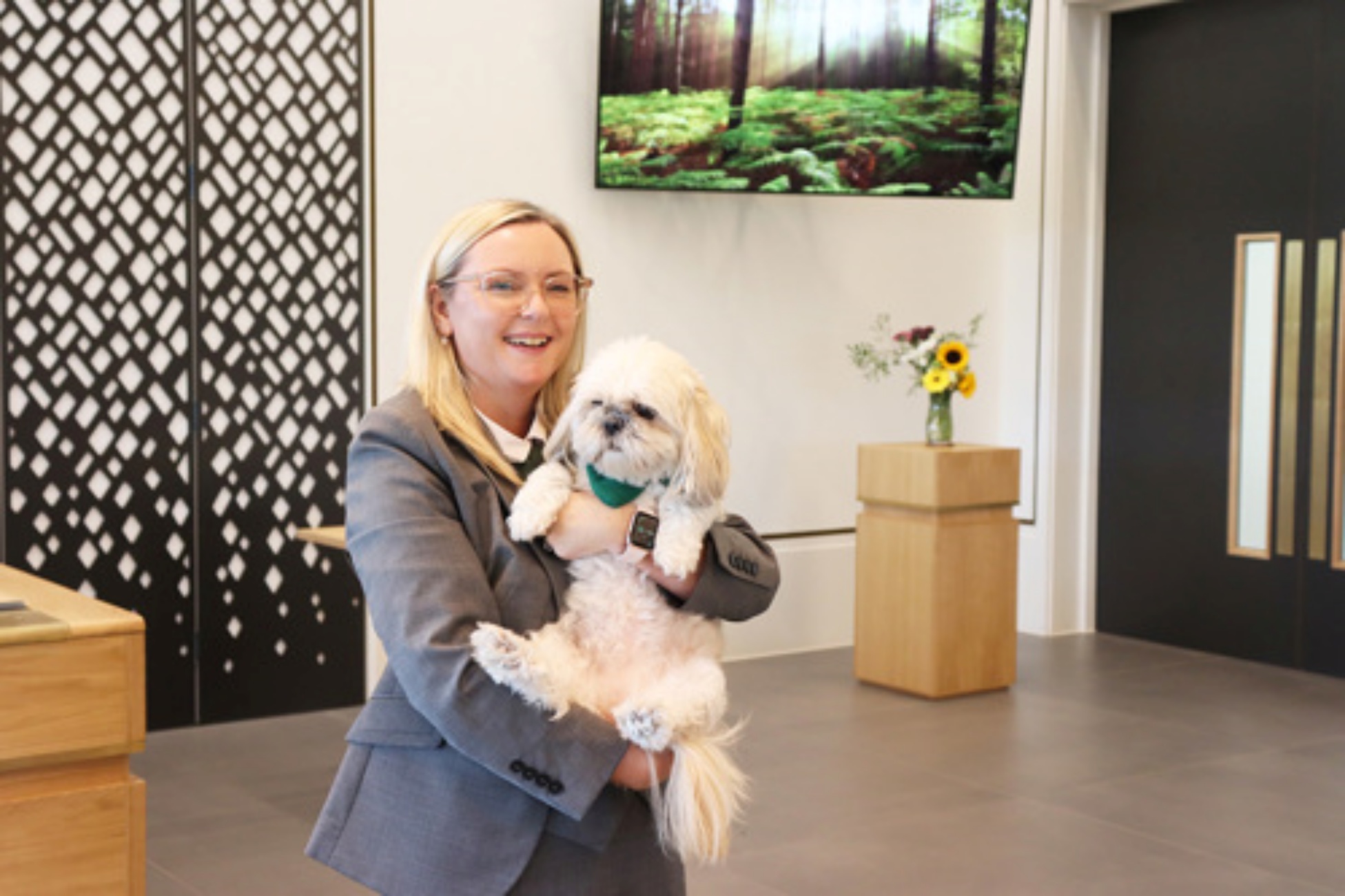 pet therapy Shih Tzu maise