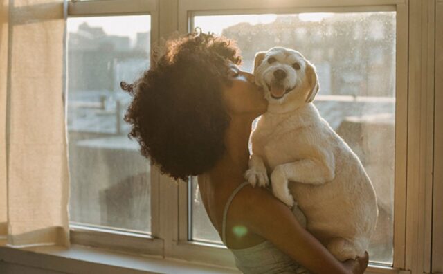 Piuttosto che dar retta alla cognata, questa donna ha deciso di festeggiare il Natale con il suo amato cane