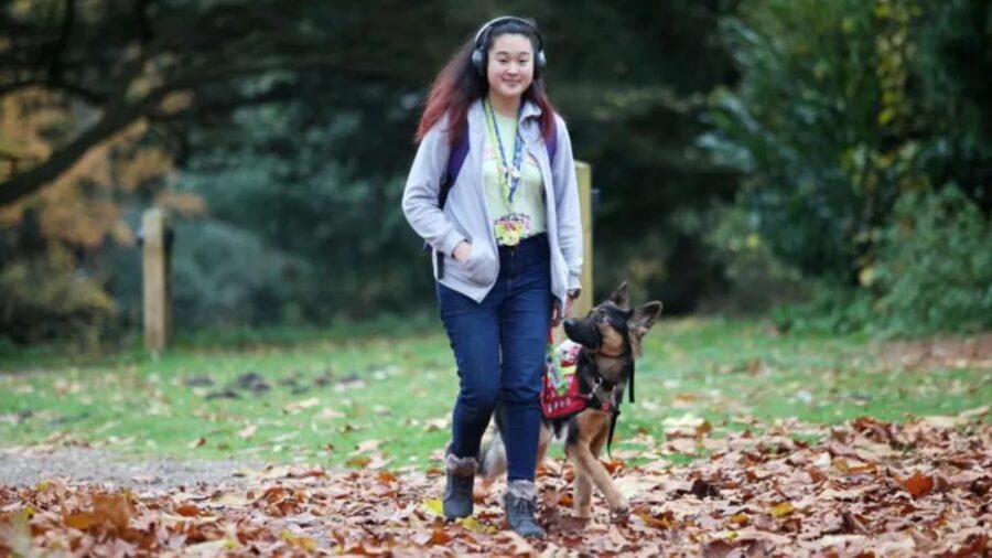 Cane passeggia con la ragazza