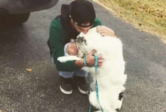 Il momento toccante in cui questo cane che non voleva mai essere accarezzato si lascia andare all’amore