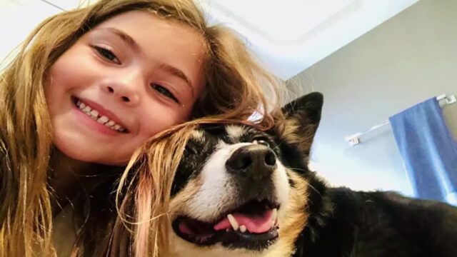 Cane scomparso lo scorso Natale, bambina di 9 anni organizza una raccolta per gli animali senza casa per onorarlo