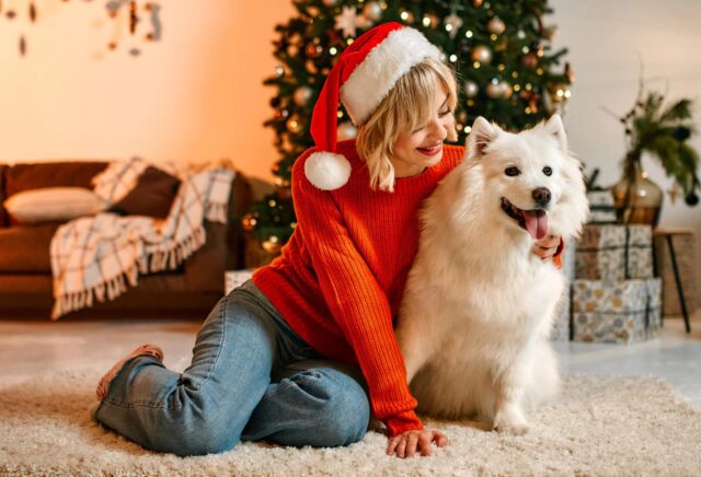 Come distrarre efficacemente il cane durante le feste