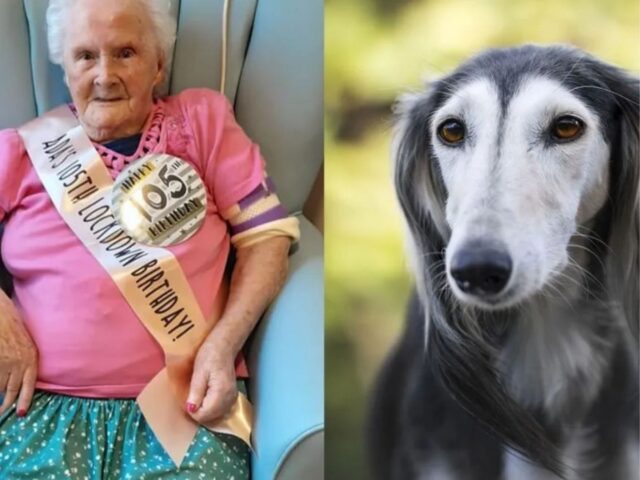 Questa donna ha 108 anni e dice di essere longeva perché “Non ho avuto bambini ma cani”