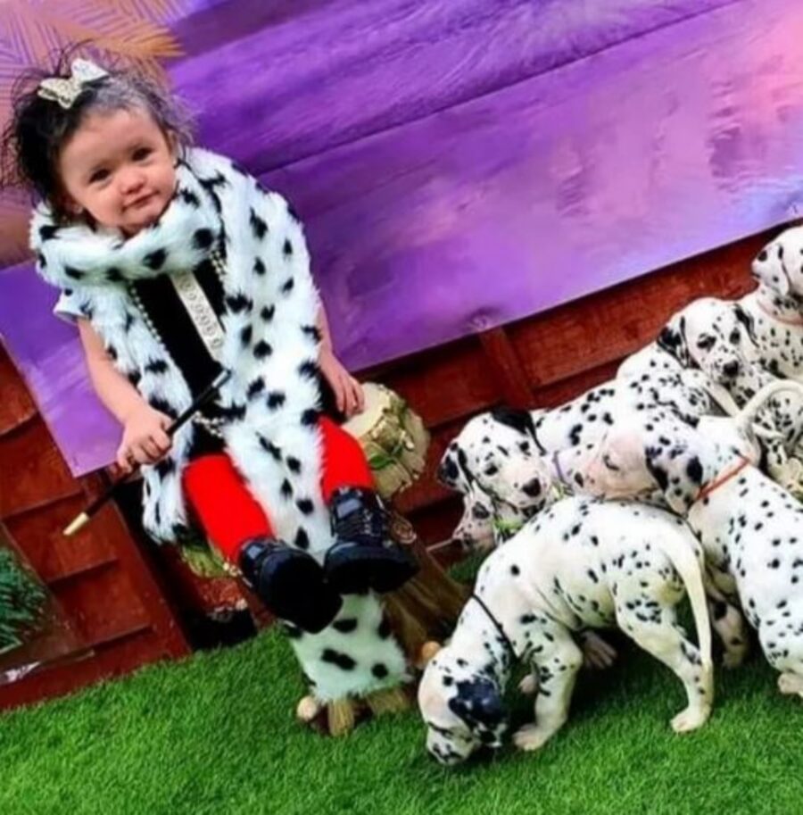 una bimba con dei cuccioli di Dalmata