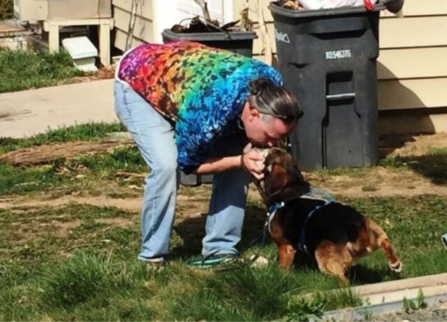 Era finito in canile, ma il suo padrone non aveva smesso di cercarlo, quando lo ha trovato non sapeva se il cane anziano lo avrebbe riconosciuto