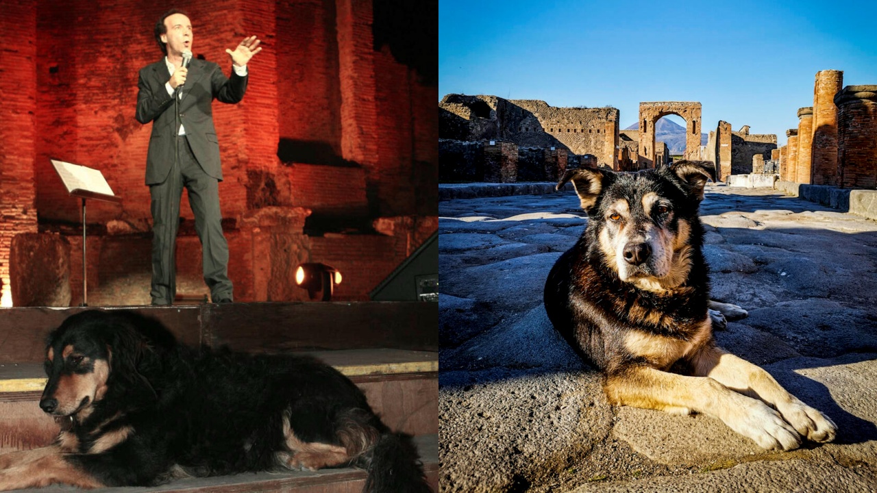 argo il cane di Pompei