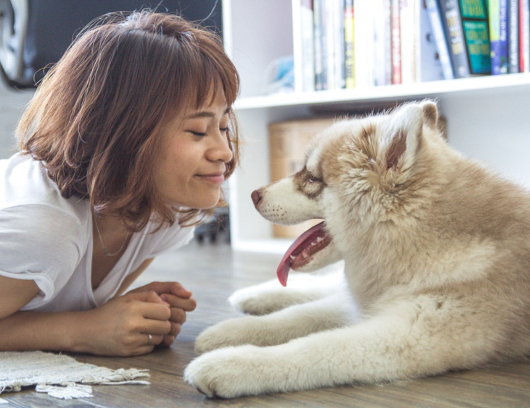 Cane guarda la donna