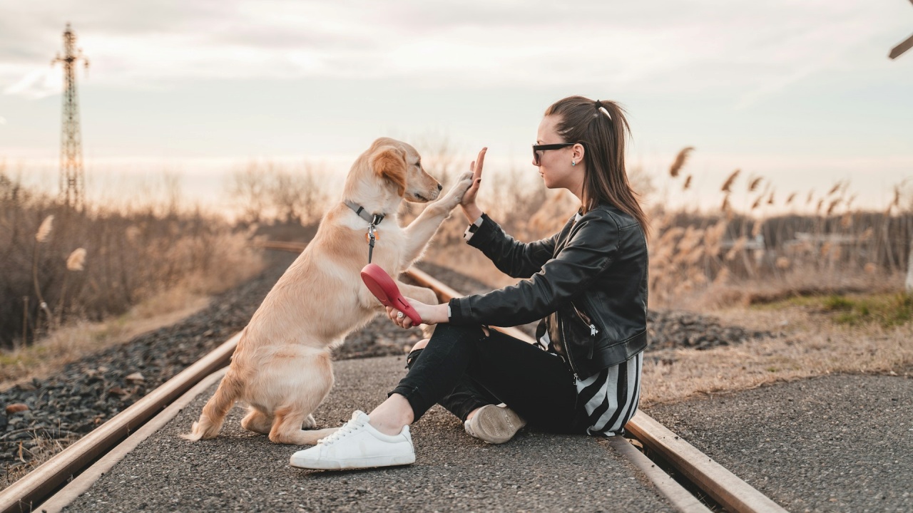 grazie al cane donna scopre infedeltà marito