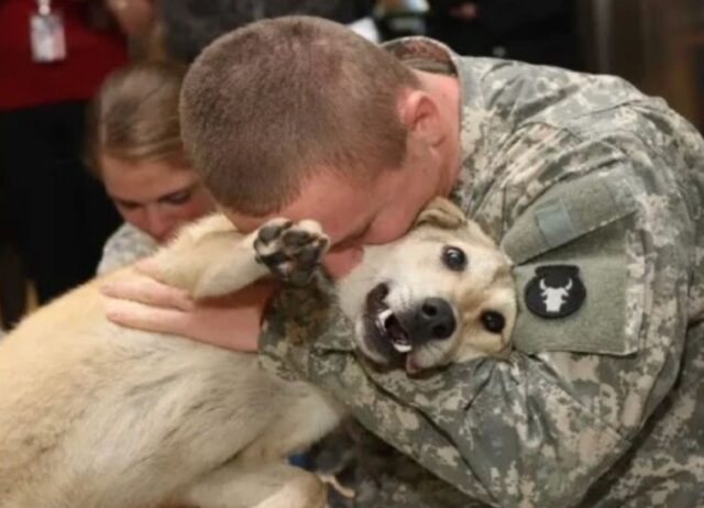 Il padrone è tornato dalla guerra e questo cane non riesce proprio più a contenere la gioia