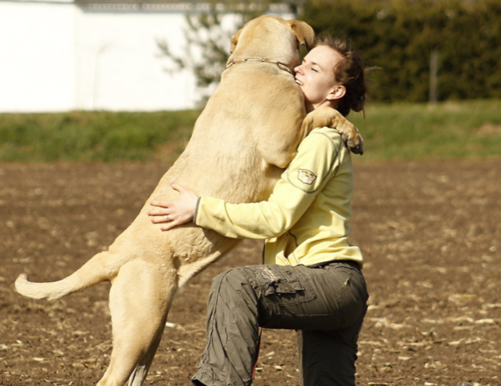 Donna abbraccia il cane