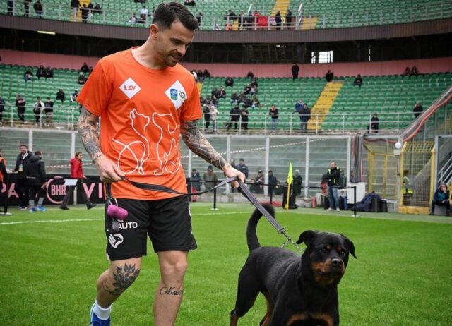 In campo per Aron, così il Palermo Calcio ha voluto lanciare un messaggio d’amore verso i cani